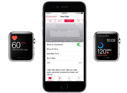 Heart_Rate_Glance-530x386